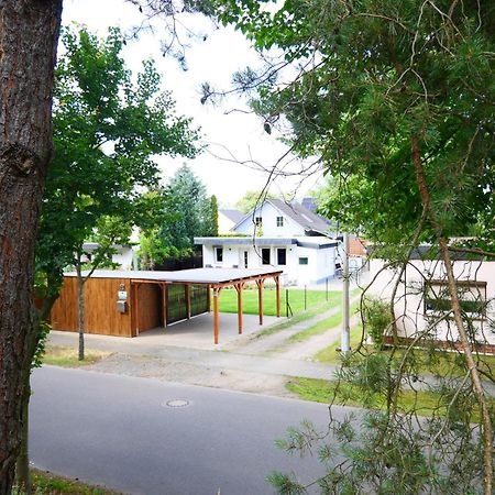 Haus Kleiner Findling Im Lausitzer Seenland Tätzschwitz Esterno foto